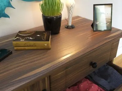 Dekor1 fish wall art on dresser 3D model