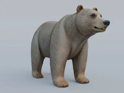 Bear grizzly Free 3D model
