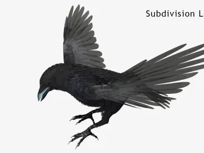 Crow - rigged - animated - Standard - PBR - VRAY Low-poly  3D model
