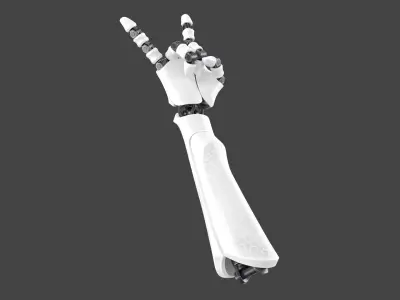 Robot Hand 6 3D model