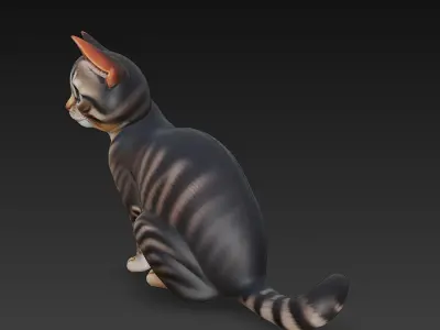 Cat Realistic 3D Model Basic - Low Poly Realistic Low-poly 3D model