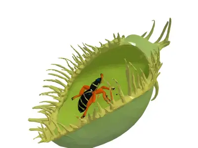 Venus Flytrap with Insect 3D Model Low-poly 3D model