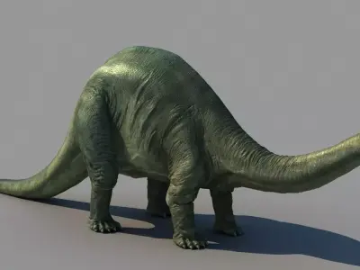 Brontosaurus dinosaur 3D model