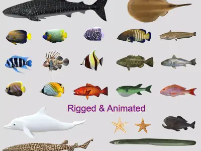 Fish Collection Animated - Game Ready Pack 6 Low-poly 3D model