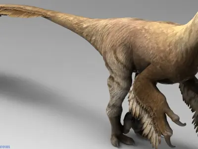 Raptor Low-poly 3D model