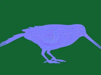 American Woodcock Bird Low-poly 3D model