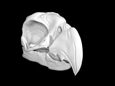 Parrot skull Low-poly 3D model