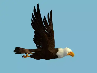 Eagle flying in sky 3D model