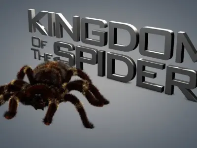 Spider tarantula 3D model