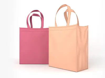 Eco Bag 3D model
