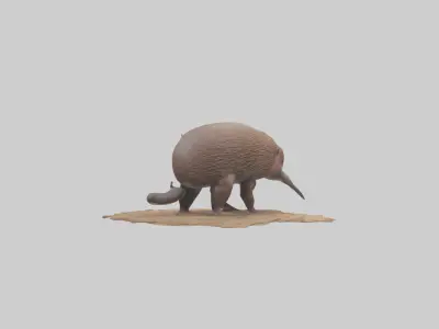 Echidna burrowing model Low-poly 3D model