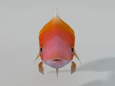 Goldfish Low-poly 3D model