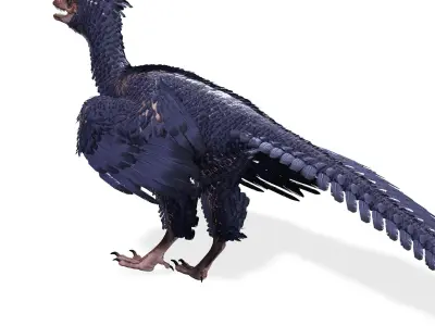 BIRD RIGGED PREHISTORIC BIRD Low-poly 3D model