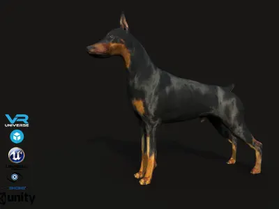 Dobermann Dog Low-poly 3D model