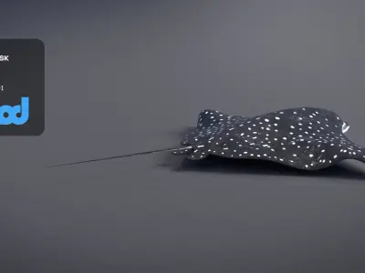Spotted Eagle Ray 3D model