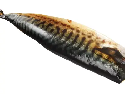 Smoked mackerel Low-poly 3D model