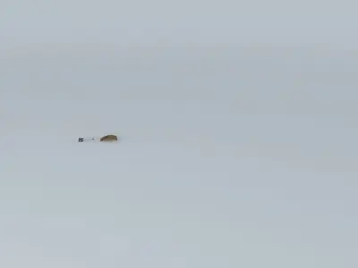 The Bad Pun Racer Free 3D model