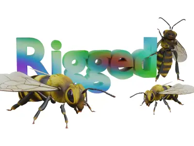 3D animated bee Low-poly 3D model