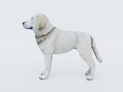Dog Animal Free 3D model