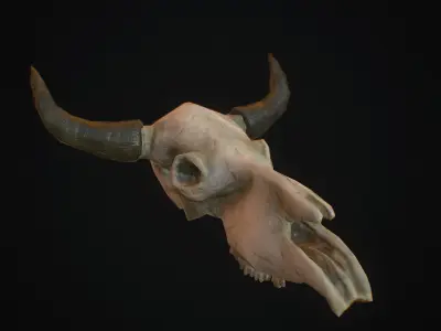 Decorative Skulls- Cow and Deer Low-poly 3D model