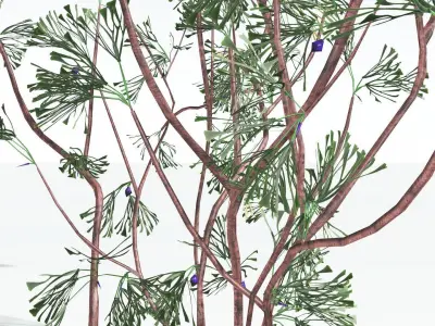 EVERYPlant Baiera LowPoly 1 --14 Models-- Low-poly 3D model