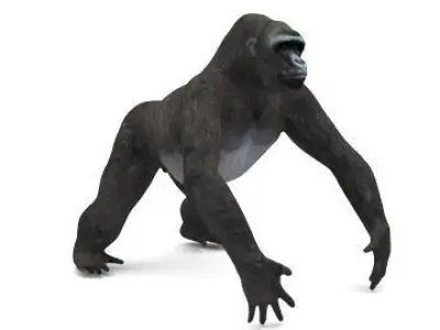 GORILLA 3D model