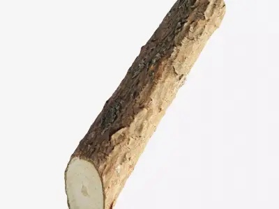 Scanned coniferous firewood Low-poly 3D model