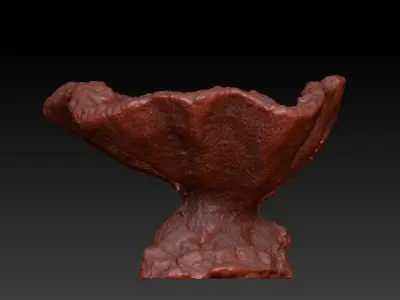 Sea Coral Scan 1 3D model