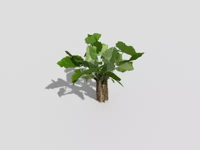 Low poly Plant ivy Low-poly 3D model
