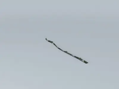 Paseo del Malecón Part 1 Free 3D model