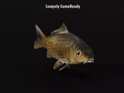 Common Eurasian Carp Fish Low-poly 3D model