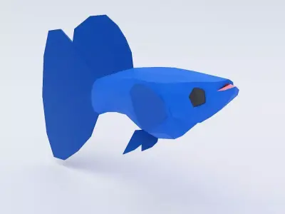  Guppy fish 3d model  Low-poly 3D model