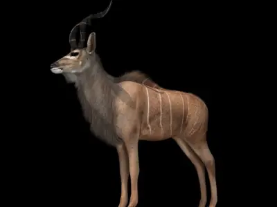 Deer 3d model african antelope 3D model