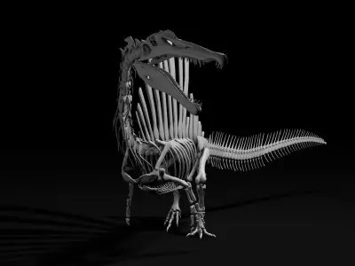 Spinosaurus aegyptiacus skeleton Low-poly 3D model