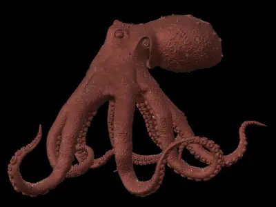 Realistic Octopus 3D model