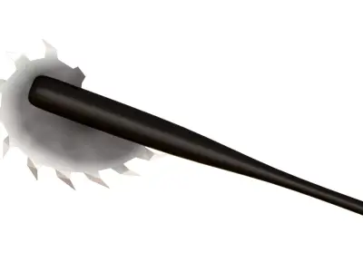 Saw-toothed bat 3D model