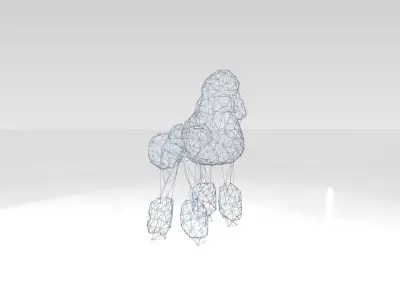 Poodle Wireframe 3D model