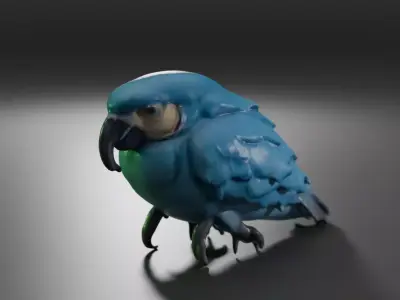 blue macaw 3D model