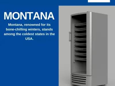 Montana 350 Soft Drink Cooler 3D print model