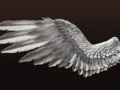 Pair of Bird Wings C4D  Low-poly 3D model