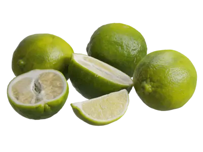  Lime Models 