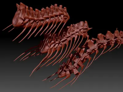 Dinosaur Spinosaurus Tyrannosaurus Giganotosaurus Neck Skeletons 3D model