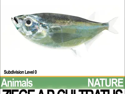 Ziege A animals ap cultivatus 3D model