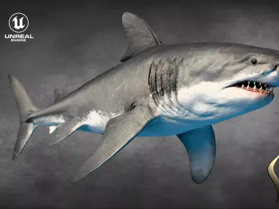 Megalodon Animated  Low-poly 3D model