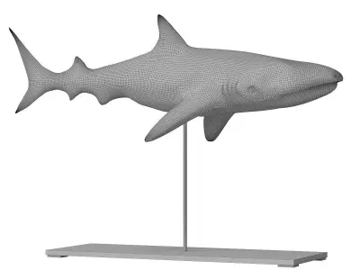 Deco Figurine Shark Base Low-poly 3D model
