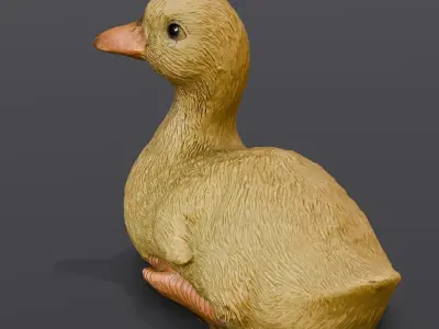 Cartoon Duck 3D Model  Low-poly 3D model