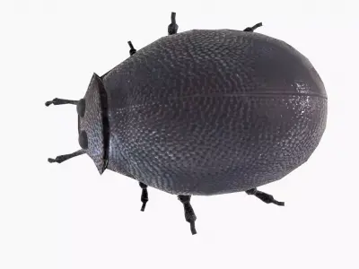 Rigged Bug  Low-poly 3D model