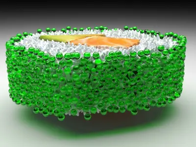 Sushi Roll With Green Caviars 3D model