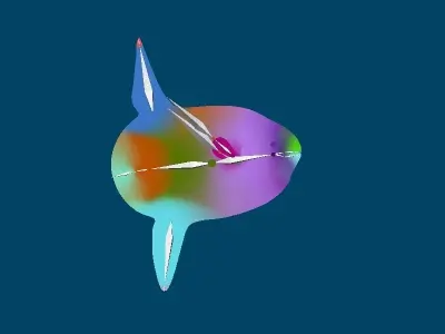 Ocean Sunfish Mola  3D model