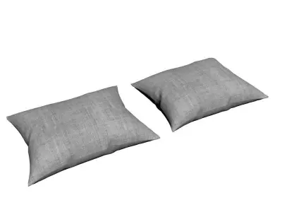 Pillows pair of jute Free 3D model